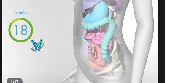 تغيرات الجسم في بداية الحمل 14 تغيرات الجسم في بداية الحمل